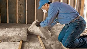 Best Batt and Roll Insulation  in Seco Mines, TX