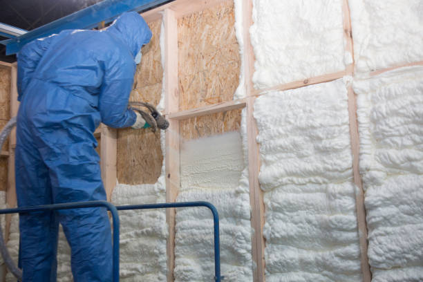 Best Insulation for New Construction  in Seco Mines, TX